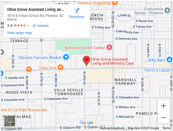 Olive Grove Assisted Living google map screenshot